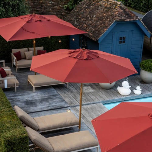 Welcome at Het Zonnehuis - Zonnehuis B&B