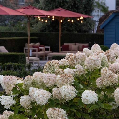 Welcome at Het Zonnehuis - Zonnehuis B&B