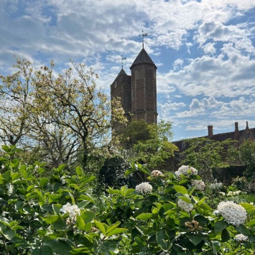 Daguitstap  met de auto van het Zonnehuis - Zonnehuis B&B